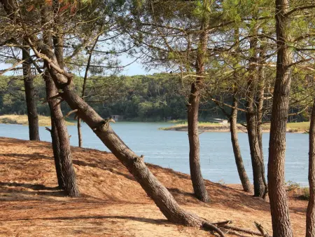 Gîte chaleureux avec terrasse privative et vélos, proche Thalasso et plages - Talmont-Saint-Hilaire - Photo 16