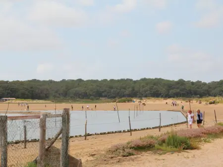 Gîte charmant et équipé avec terrasse, proche de la mer à Talmont-Saint-Hilaire - Photo 17