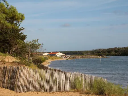 Gîte charmant avec terrasse privative et vélos, proche thalassothérapie et balnéothérapie - Photo 15