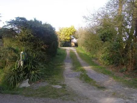Gîte rustique avec salle de jeux et animaux en campagne - Photo 10