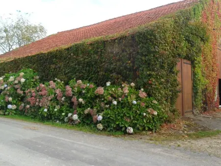 Gîte rustique avec salle de jeux et animaux en campagne - Photo 13