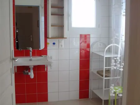 Gîte authentique avec cheminée, terrasse privée, accessible PMR, pêche et activités ULM - Vendée - Photo 11