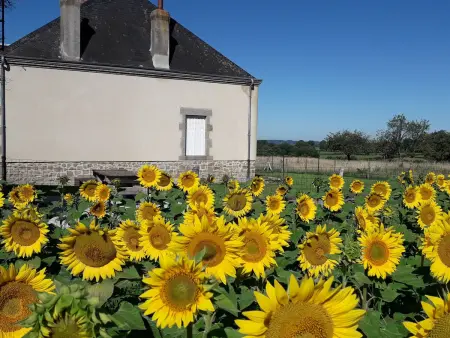 Maison paisible entre Berry et Creuse avec jardin clos, terrasse et parking privé - Photo 24