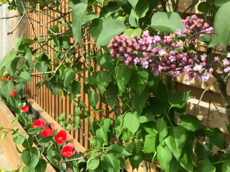 Gîte rénové avec jardin, proche loisirs et commerces, à une heure de Nancy et Metz - Photo 18