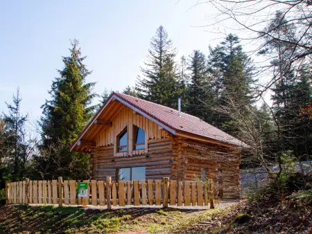 Chalet Authentique en Forêt, 6 Pers, Proche Gérardmer, Sentiers & Stations de Ski - Photo 4