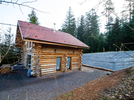 Chalet Authentique en Forêt, 6 Pers, Proche Gérardmer, Sentiers & Stations de Ski - Photo 6