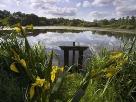 Gîtes Rénovés avec Piscine au Cœur de la Brenne – Proche Sites Naturels et Historiques - Photo 20