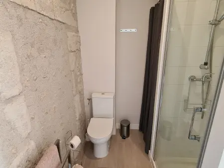 Demeure restaurée avec chambres privatives, proche Loire, vignes et activités outdoor - Photo 15