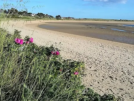 Charmante maisonnette 2 pers. avec jardinet, terrasse et BBQ à 500m de la plage, animaux acceptés - Photo 25