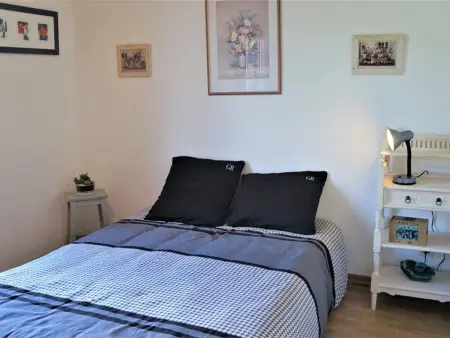 Maison rénovée 5 pièces, jardin 550 m², 6-7 pers, WI-FI, animaux acceptés - Photo 17