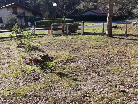 Maison Landaise avec Jardin, 4 Ch, Proche Plages et Golf à Seignosse - Photo 3