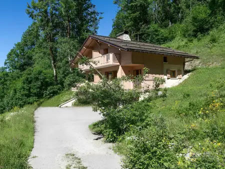 Demi-chalet moderne, 3***, animaux admis, garage, proche télécabines - Photo 12