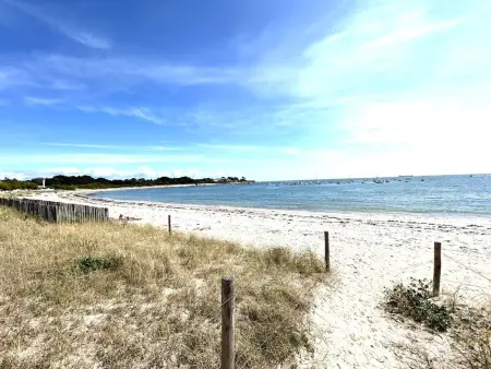 Maison 6 pers. avec accès direct plage à Ploemeur - Photo 28