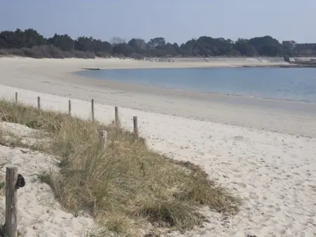 Maison 6 pers. avec accès direct plage à Ploemeur - Photo 29