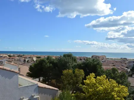 Villa 3 pièces climatisée avec parking et animaux acceptés à Saint-Pierre-la-Mer - Photo 6