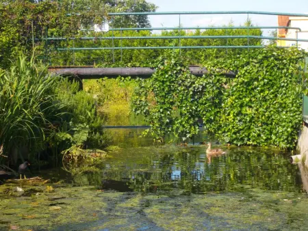 Gîte spacieux avec jardin, barque, et label tourisme handicap - Marais Audomarois - Photo 2