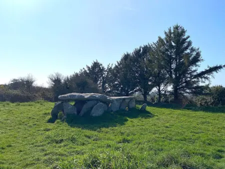 Maison avec WIFI, jardin clos et terrasse, à 500m de la mer et du GR34, Île Grande - Photo 19