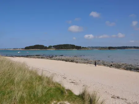 Maison avec WIFI, jardin clos et terrasse, à 500m de la mer et du GR34, Île Grande - Photo 20