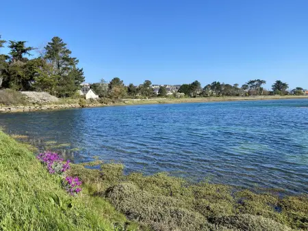 Maison avec WIFI, jardin clos et terrasse, à 500m de la mer et du GR34, Île Grande - Photo 24