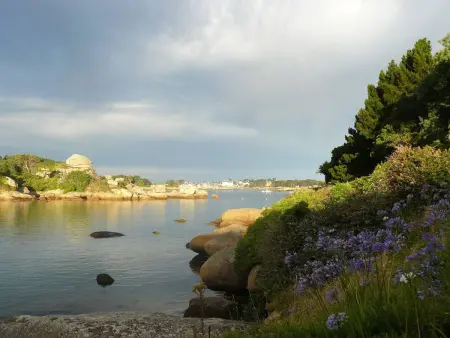 Charmante maison 3* avec WIFI, proche plage et Sentier des Douaniers à Ploumanac'h - Photo 14