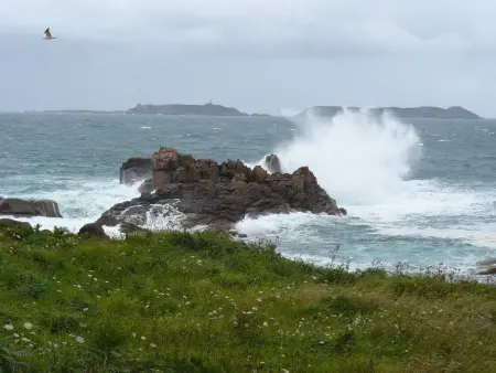 Charmante maison 3* avec WIFI, proche plage et Sentier des Douaniers à Ploumanac'h - Photo 15