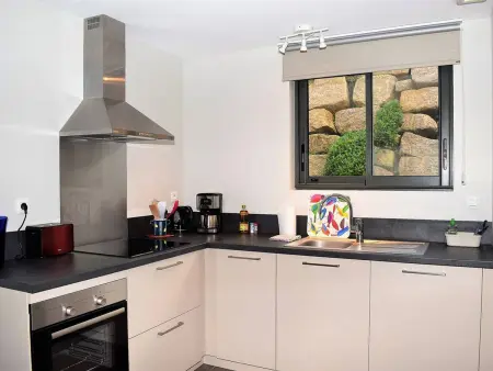 Maison neuve de plain-pied avec WIFI, terrasse et parking, à 2,5 km des plages à Trégastel - Photo 3