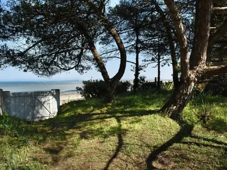Maison avec accès plage, jardin et annexe indépendante - Photo 13
