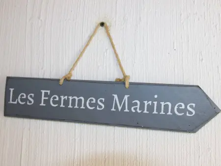 Maison 2 pièces/mezzanine, piscines chauffée, tennis - Bretignolles-sur-Mer - Photo 10