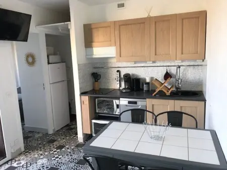 Villa T2, 4 pers, face à la mer, terrasse, parking privé, à 400m des commerces, plage devant! - Photo 1