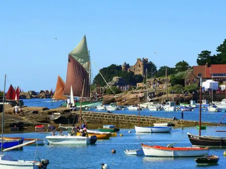 Maison de pêcheur à 50m du port et 300m de la plage avec WIFI, terrasse, et cheminée - Perros-Guirec - Photo 14