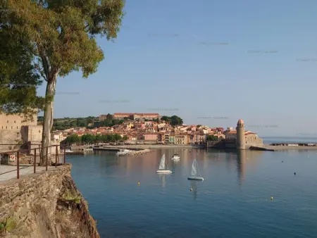 Spacieuse maison à Collioure avec piscine privée - Photo 21
