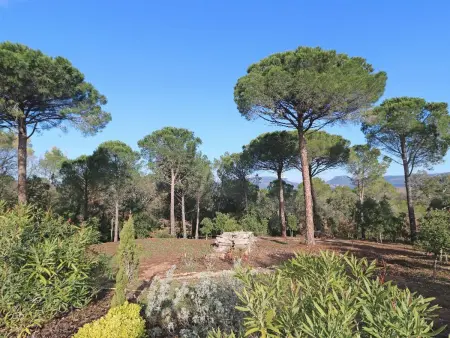 Villa climatisée Roquebrune 5 pièces, 8 couchages, piscine privée, proche plage - Photo 10