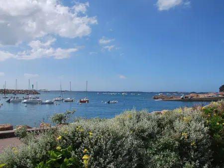 Superbe maison avec jardin, proche plage, chiens admis - Photo 20