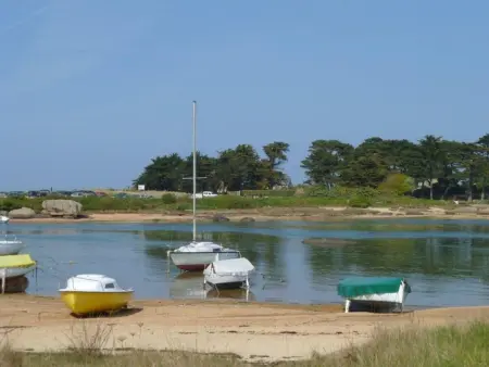 Charmante maison bretonne avec jardin clos, parking, WiFi, à 900m de la plage - Trégastel - Photo 11