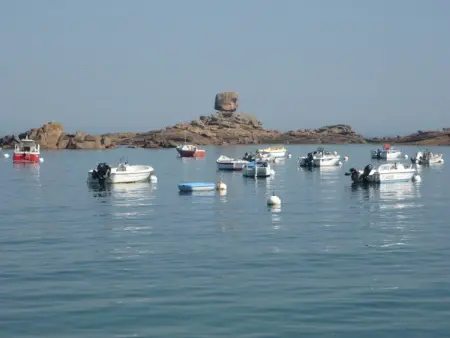Charmante maison bretonne avec jardin clos, parking, WiFi, à 900m de la plage - Trégastel - Photo 16