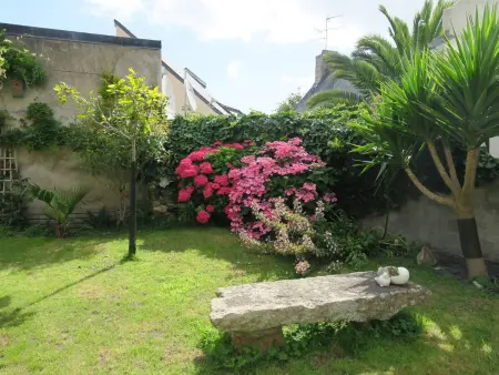 Maison de charme 3* avec WIFI, jardin clos, véranda, à 350m du port à Perros-Guirec - Photo 14