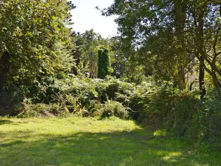Maison 4 pers avec jardin, wifi et parking 800m de la plage - Pleumeur-Bodou - Photo 6
