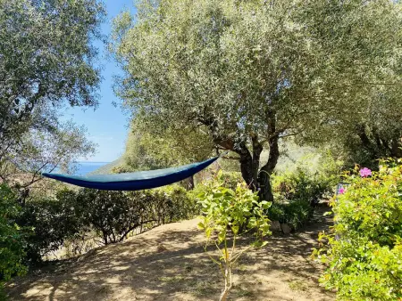 Villa en Corse du Sud avec piscine privée pour 8 personnes - Photo 17