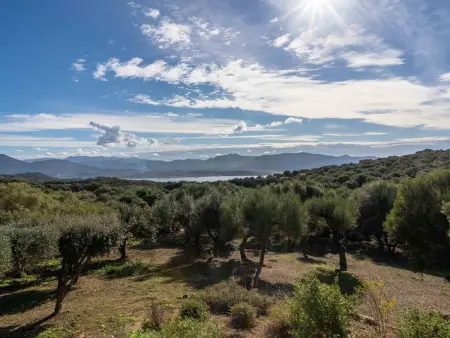 Villa en Corse du Sud avec piscine privée pour 8 personnes - Photo 25