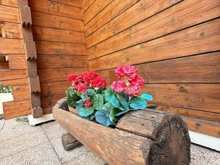 Chalet familial avec jardin et cheminée, animaux acceptés - Photo 13