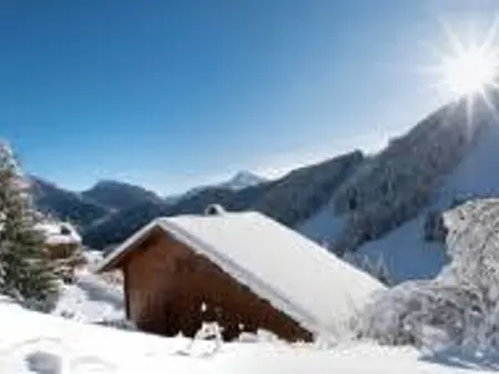 Chalet 3 étoiles avec grande terrasse dans un cadre verdoyant - Photo 30