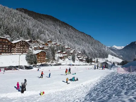 Chalet 3 étoiles avec grande terrasse dans un cadre verdoyant - Photo 32
