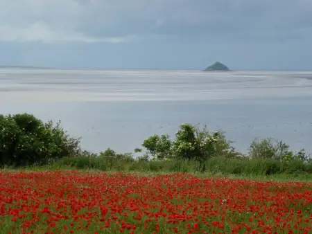 Gîte cosy avec terrasse près du Mont St-Michel - jardin, animaux acceptés, services et équipements inclus - Photo 13