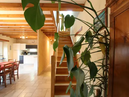 Gîte familial à Saint-Sauveur-le-Vicomte, jardin clos, animaux acceptés - Photo 13