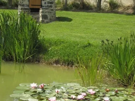 Gîte familial à Saint-Sauveur-le-Vicomte, jardin clos, animaux acceptés - Photo 16