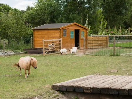 Charmante maison au cœur d'un village paisible avec jardin clos et animaux - Photo 19