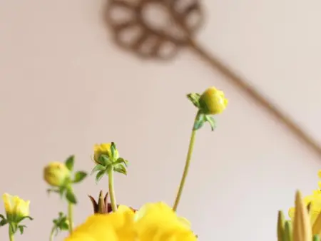 Maison rustique 17ème siècle avec jardin, cheminée et parking - Photo 6