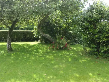 Maison charmante à La Hague avec jardin clos et cheminée - Photo 18