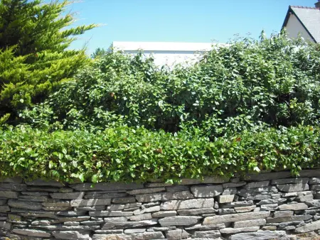 Maison cosy près des dunes, 5 pers, jardin clos, terrasse, Wi-Fi, animaux acceptés, parking - Photo 23