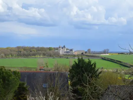 Charmante maison avec jardin privé, cheminée et WIFI - Photo 24